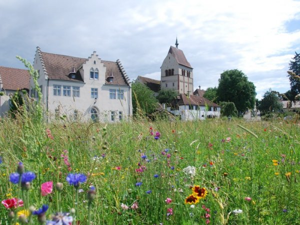 Photo de l'abbaye de Reichenau